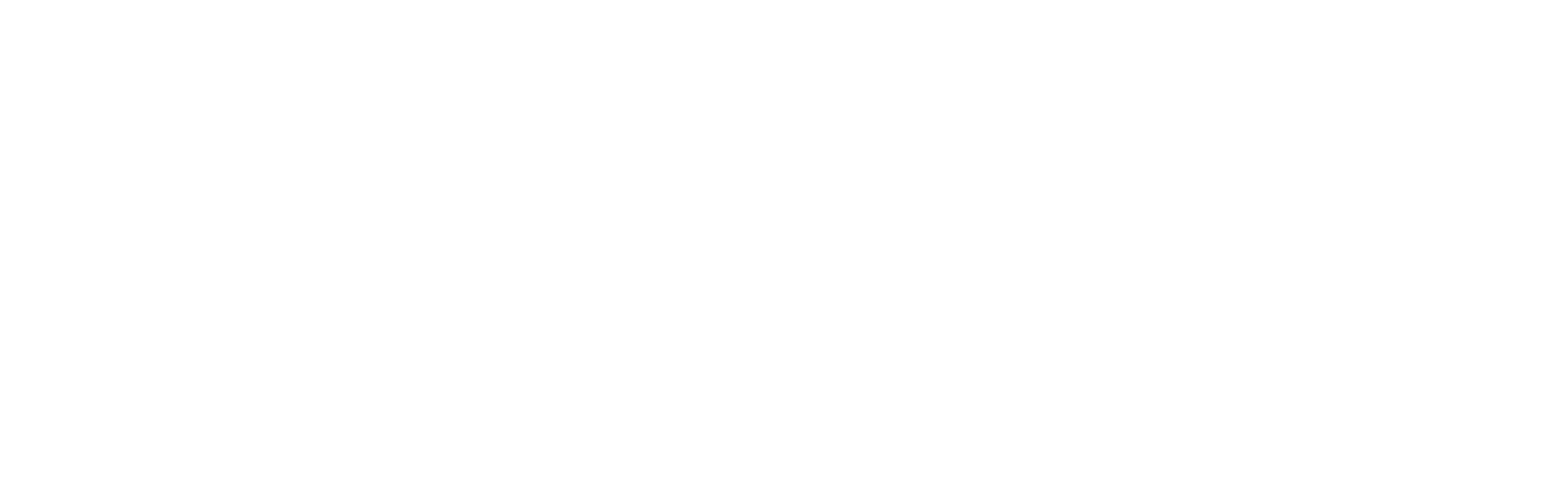 Accenture-logo-White